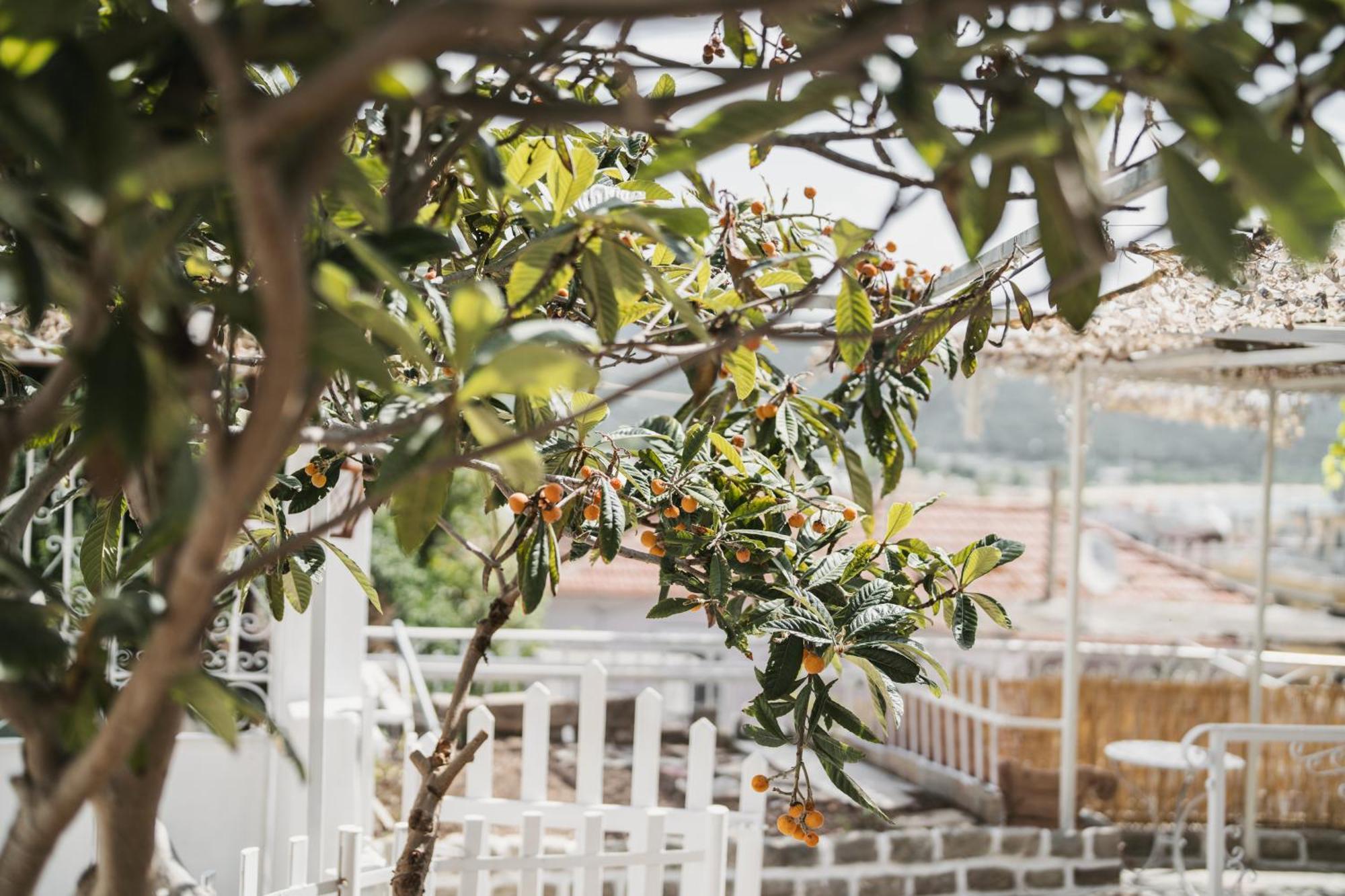The Garden House Kavala Exterior foto