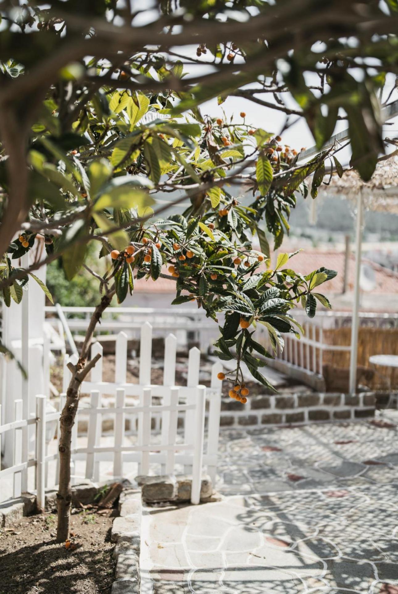 The Garden House Kavala Exterior foto